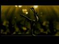 Nastia Liukin 2008 VISA Go World Commercial