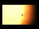 Grizzley Bear Vs The Sun