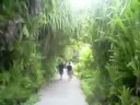 HAKURAA  WALK TO BAR