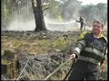 bosbrand breda