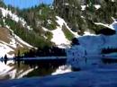 So much to see at Heather Lake