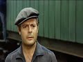 I GIRASOLI (Loren, Mastroianni, De Sica) I GIRASOLI (Loren, Mastroianni, De Sica)
