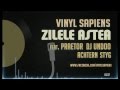 Vinyl Sapiens - Zilele Astea (feat. Praetor, DJ Undoo & Achtern Styg)