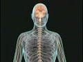 V�deo sobre Esclerosis M�ltiple