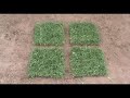 Instalacion de Cesped - Grass