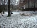 videos de Dillon and Koen 1st snow December 1st 2008