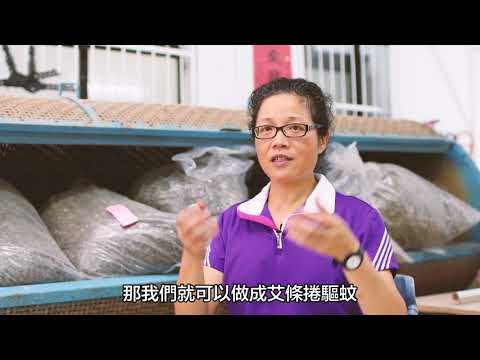 農村巧藝及家政班特色展現 農村巧藝及家政班特色展現