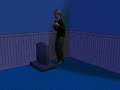Pink - Dear Mr President - Sims 2