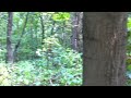 video1.mov Video