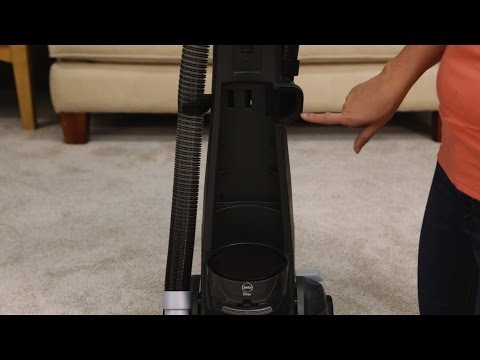 PowerLifter Pet Rewind / Momentum Low No Suction