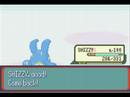 Pokemon Ruby Elite4 Battle Part1 Pokemon Ruby Elite4 Battle Part1