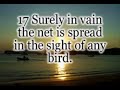 Proverbs Bible Bibel Jesus Somolon Solomontas