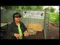 Xe Susane Moua, City Backyard Farming LLC