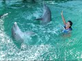 Alejandra Guzm�n rockea en Delphinus Xcaret