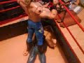 wrestling figures stopmotion