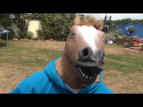 MAIL MONDAY - HORSE ATTACK!!!!!!!!!
