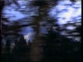 Like Eagles fly - Metulj
