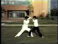 Chen Taiji Taichi Quan - Application