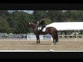 Christopher Hickey and Cabana Boy 2009 USEF National Developing Horse Champion