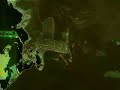 Haunted George \"Swamp Witch\" Haunted George \"Swamp Witch\"