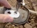 Smash My N-Gage