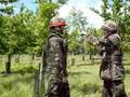 Britsh Army ninja capers