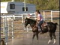 Heading, Barrel Racing, Pole Bending Horse For Sale