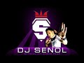 DJ SenoL - KoLBaSTi ( House Remix )