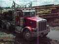 Shovel loads Peterbilt logging truck. Shovel loads Peterbilt logging truck.
