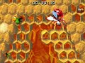 donkey kong country 2 (GBA) king zing sting