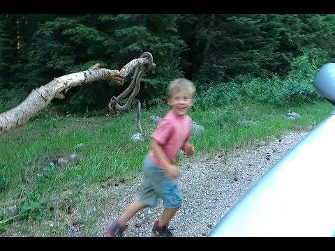 SCARING CHILDREN WITH SNAKES