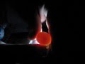 Baby Bird in Egg Baby Bird in Egg