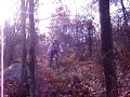 The crew is captures by the Bear on Train Wreck bridge.