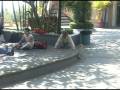 videos de El borrachinn