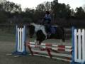 videos de Lesson 11/21/08