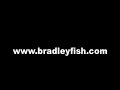 baritone 6 string dulcimer mellow jam  by bradley fish 