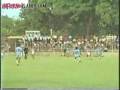 Tigana melendez Tigana melendez