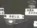 DNA Extraction from Broccoli