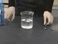 DNA Extraction from Broccoli