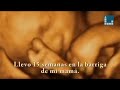 Un bebé pregunta a los políticos