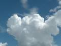 Odd Shots, Polk County, Fl