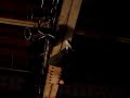 Greg Puciato DEP live