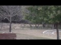 Subdivision Buck
