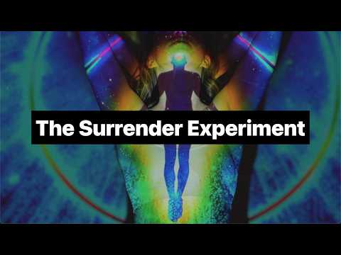 Ego Demolition and the Dark Beauty of Deleting Yourself