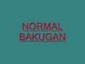 Bakugan Series 2-In Stores Now!