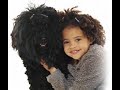KIDS AND PETS - LOOKALIKES !  REALLY !