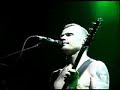 Flea - Pea Flea - Pea