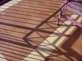 videos de cavalletta