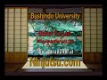 Hatsumi Bujinkan Takagi Yoshin ryu