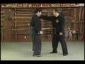 Hatsumi Bujinkan Takagi Yoshin ryu